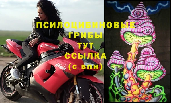 мескалин Алексин