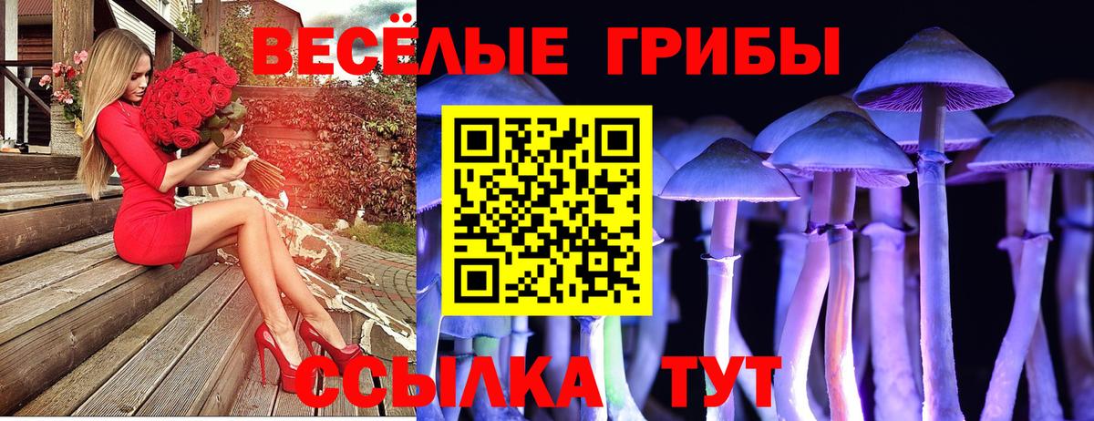 Псилоцибиновые грибы мухоморы  Галлюциногенные грибы Psilocybine cubensis  Всеволожск  Вход с VPN 